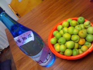 f:id:chizukichizuki:20100620222621j:image