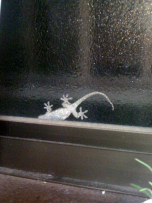 f:id:chizukichizuki:20100713192826j:image f:id:chizukichizuki:20100713192826j:image