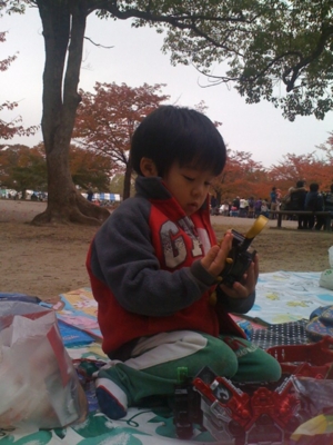 f:id:chizukichizuki:20101113124515j:image