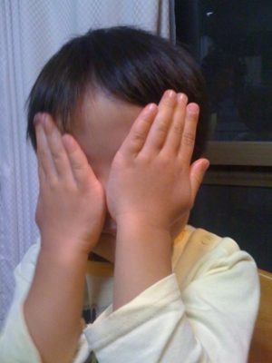 f:id:chizukichizuki:20101123201517j:image