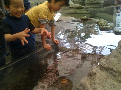 f:id:chizukichizuki:20110430122909j:image f:id:chizukichizuki:20110430122909j:image