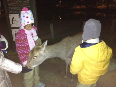 f:id:chizukichizuki:20120101021120j:image