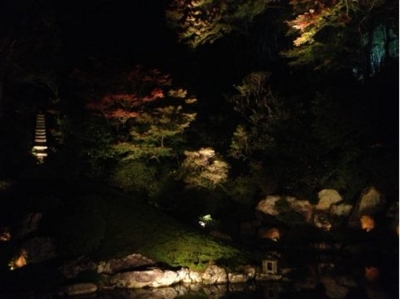 f:id:chizukichizuki:20131121204132j:image