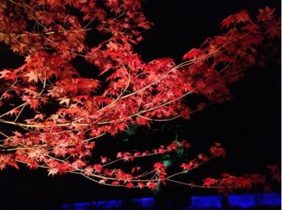 f:id:chizukichizuki:20131121204244j:image