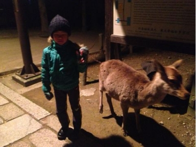 f:id:chizukichizuki:20140101044610j:image