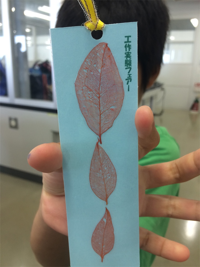 f:id:chizukichizuki:20160822184647j:image