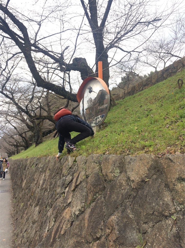 f:id:chizukichizuki:20170410003617j:image f:id:chizukichizuki:20170410003617j:image