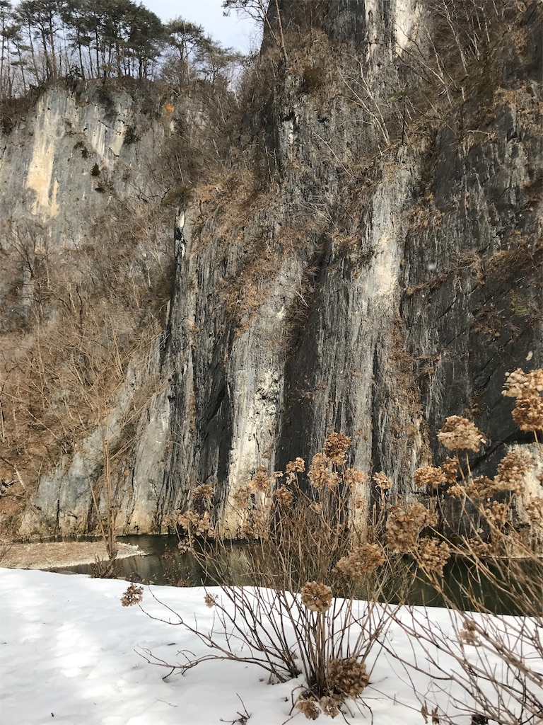 f:id:chizukichizuki:20190206194820j:image f:id:chizukichizuki:20190206194820j:image