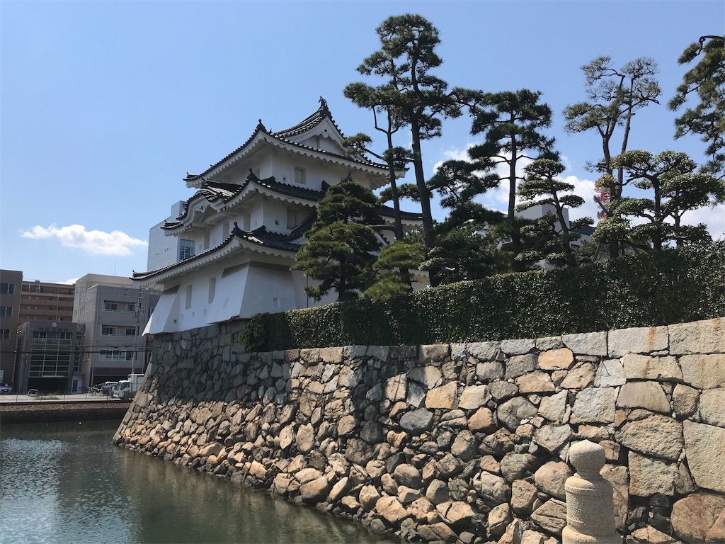 f:id:chizukichizuki:20190522182732j:image