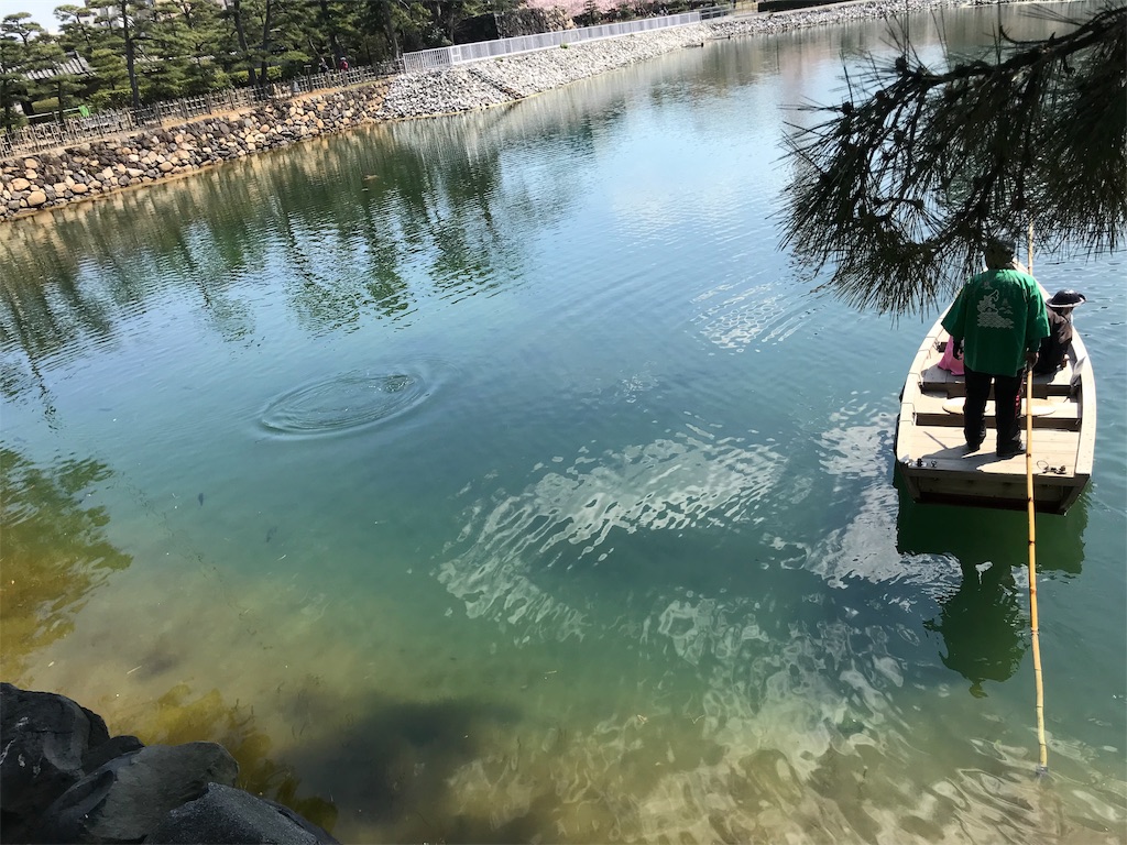 f:id:chizukichizuki:20190522182736j:image