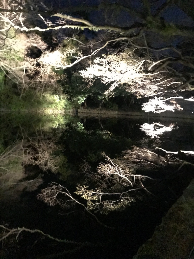 f:id:chizukichizuki:20190522182743j:image