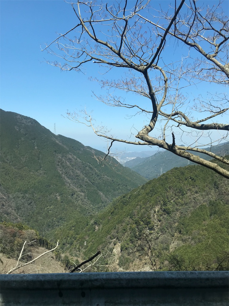 f:id:chizukichizuki:20190522185053j:image