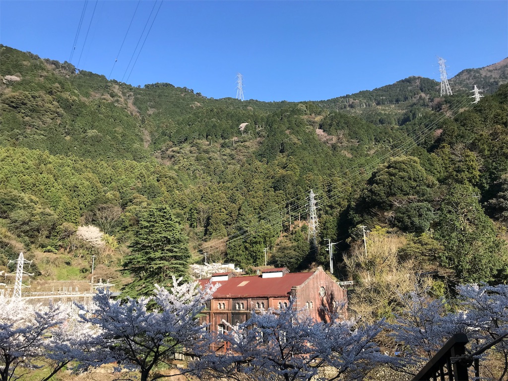f:id:chizukichizuki:20190522185412j:image