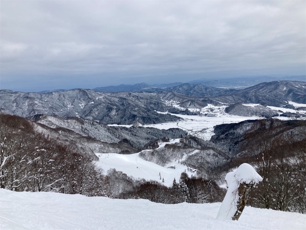 f:id:chizukichizuki:20210225234014j:image