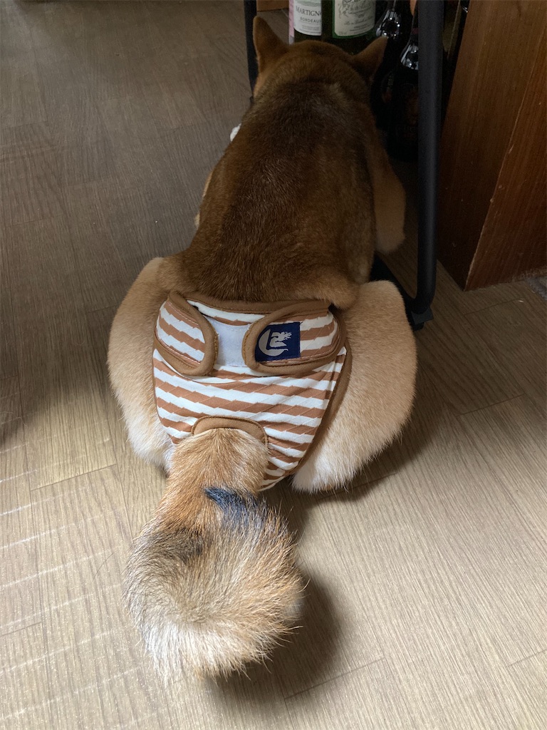 f:id:chizukichizuki:20210622232332j:image f:id:chizukichizuki:20210622232332j:image