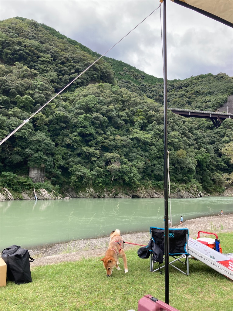 f:id:chizukichizuki:20210925000742j:image