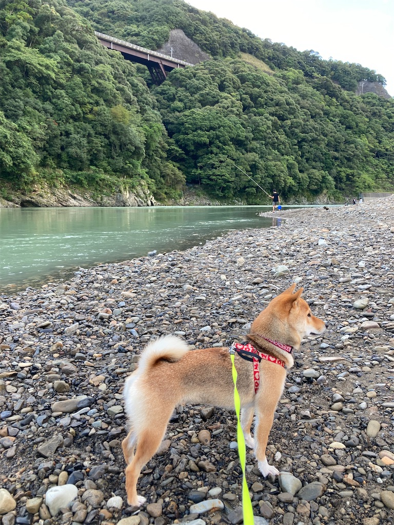 f:id:chizukichizuki:20210925001415j:image