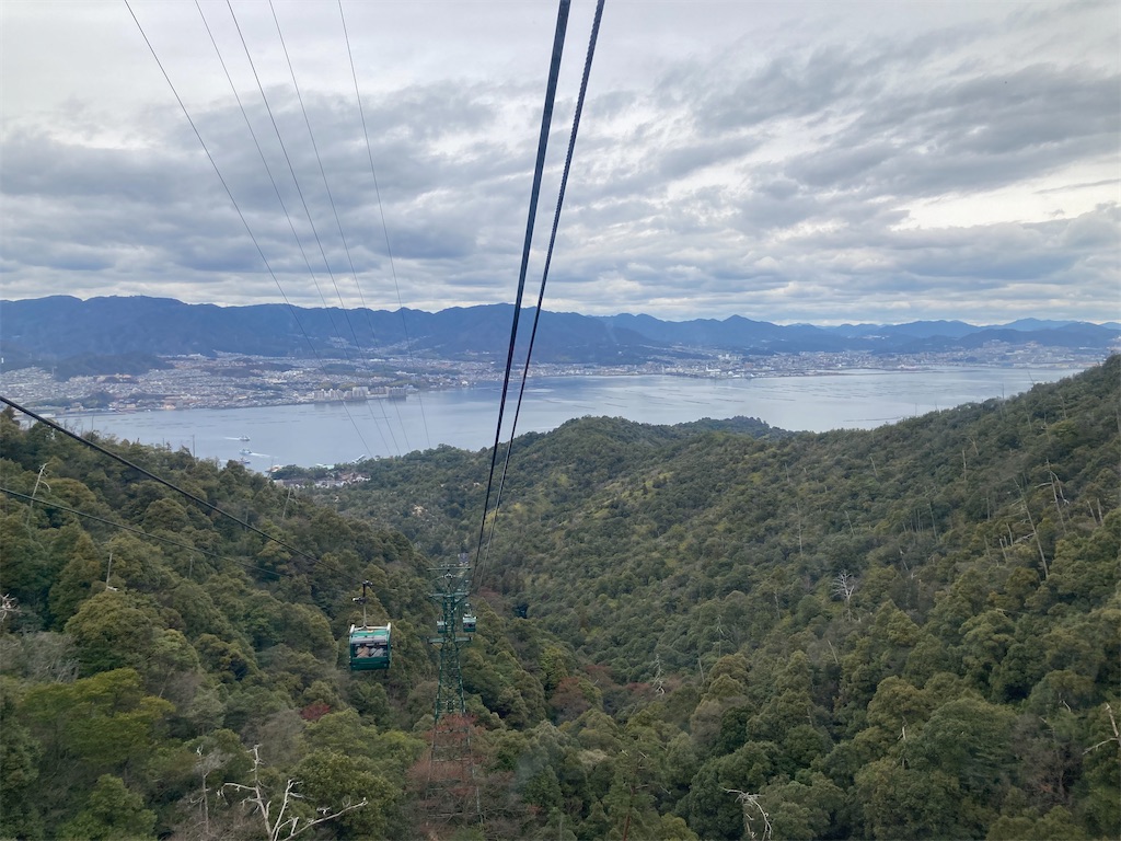 f:id:chizukichizuki:20220106190850j:image