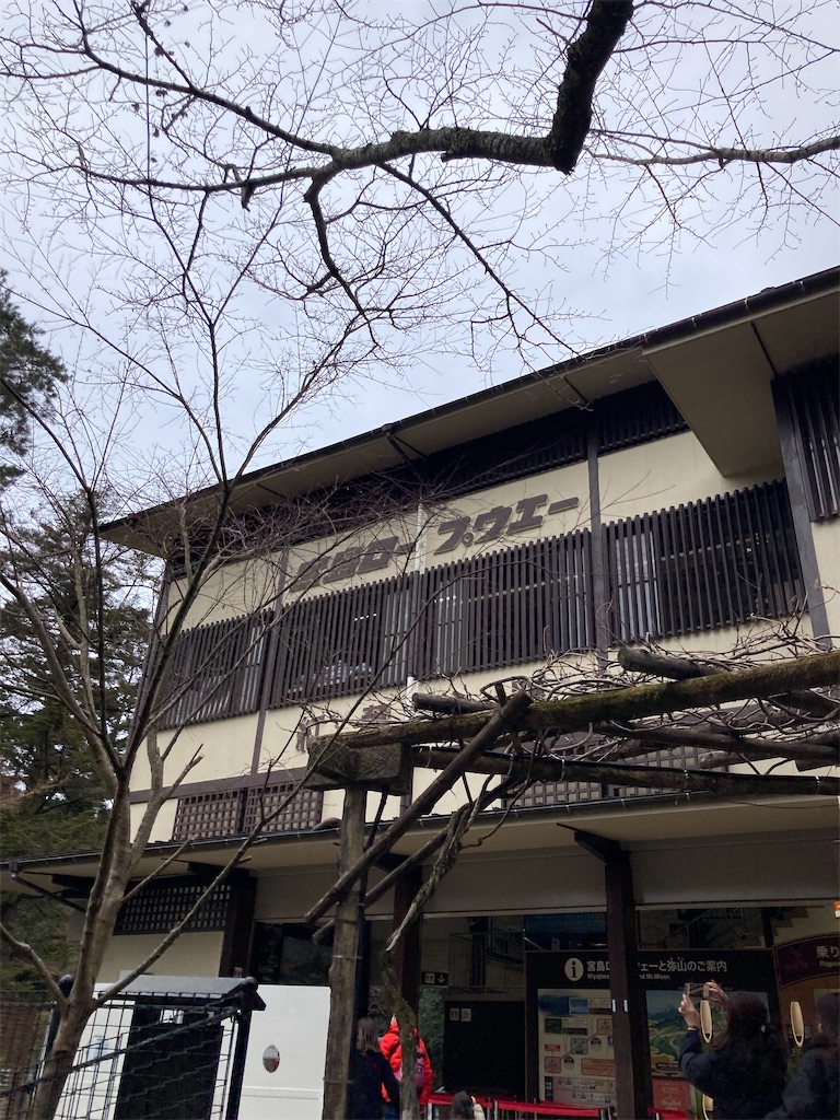 f:id:chizukichizuki:20220106190857j:image