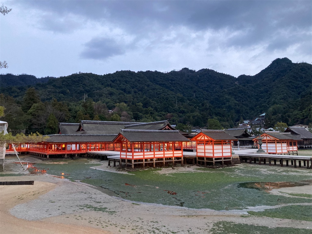 f:id:chizukichizuki:20220108002509j:image