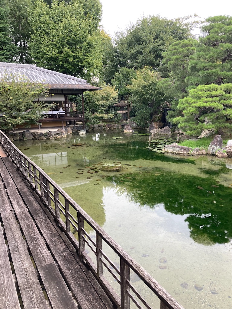 f:id:chizukichizuki:20231011200526j:image