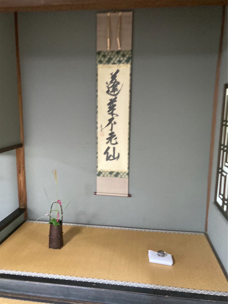 f:id:chizukichizuki:20231011200530j:image