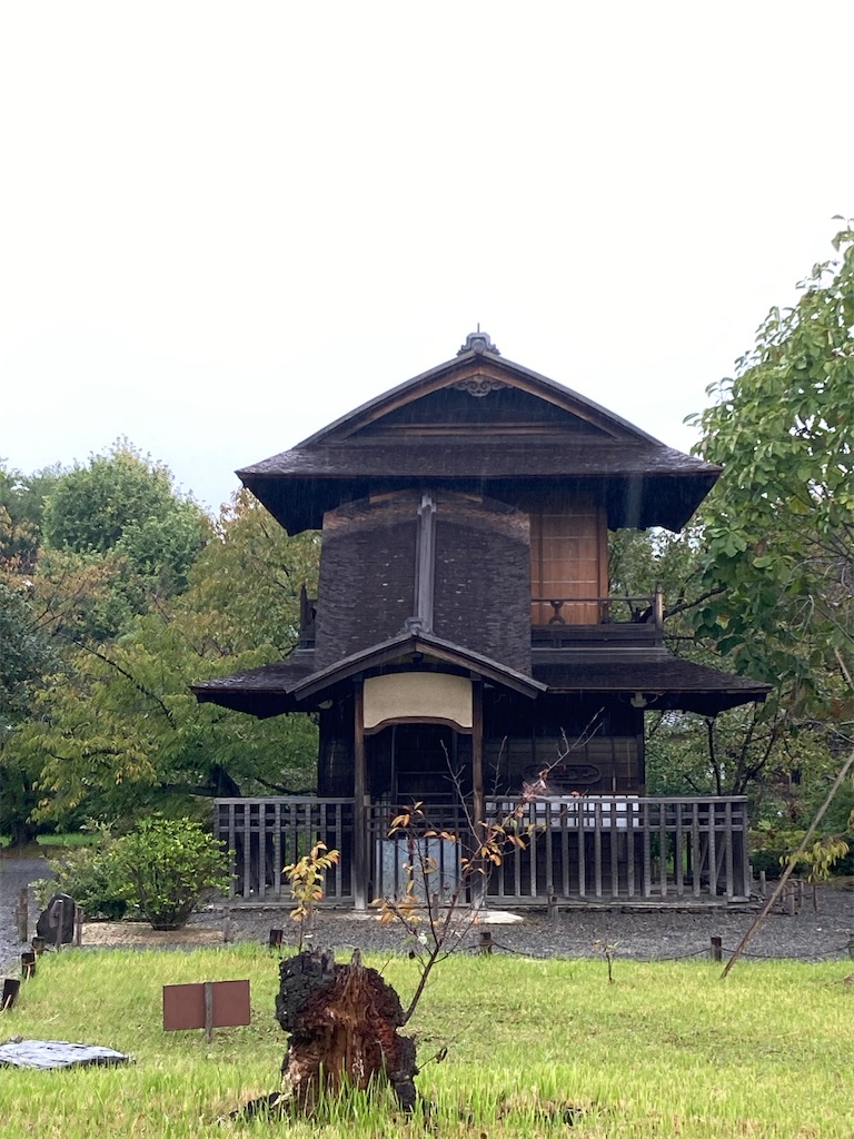 f:id:chizukichizuki:20231011200539j:image