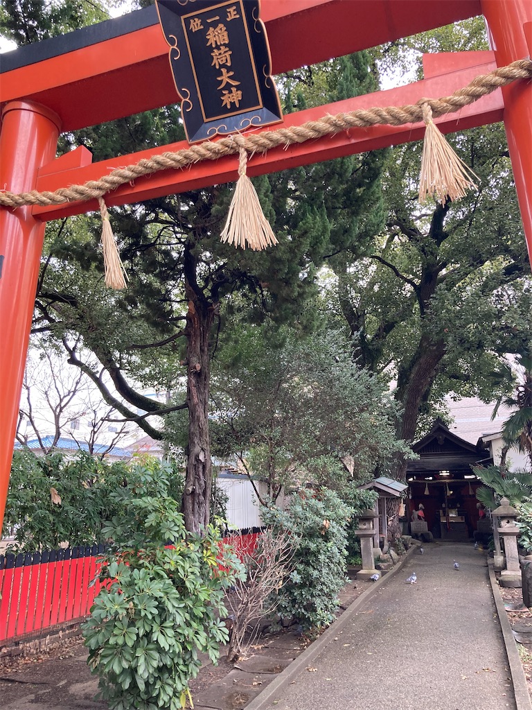 f:id:chizukichizuki:20240122081838j:image