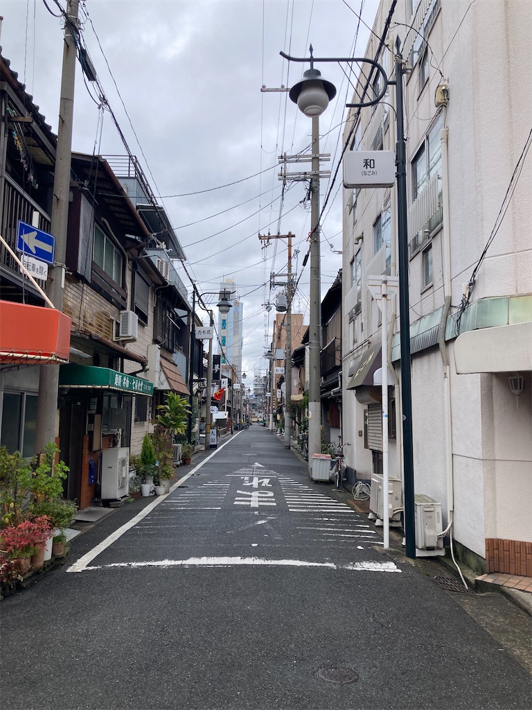 f:id:chizukichizuki:20240122082713j:image