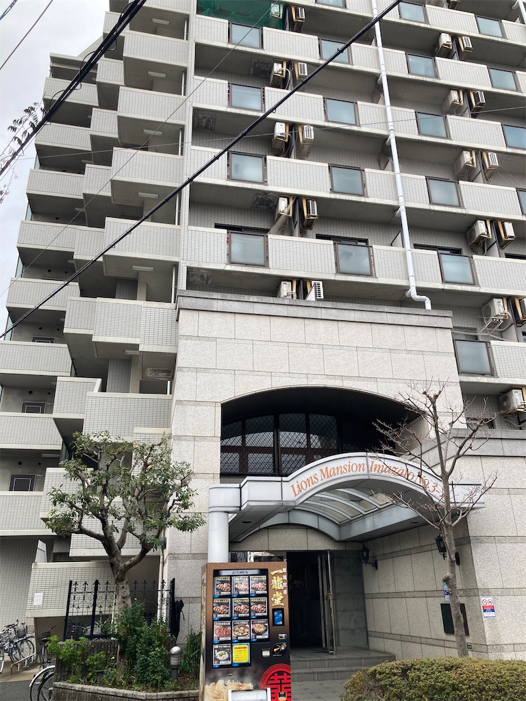 f:id:chizukichizuki:20240122082719j:image