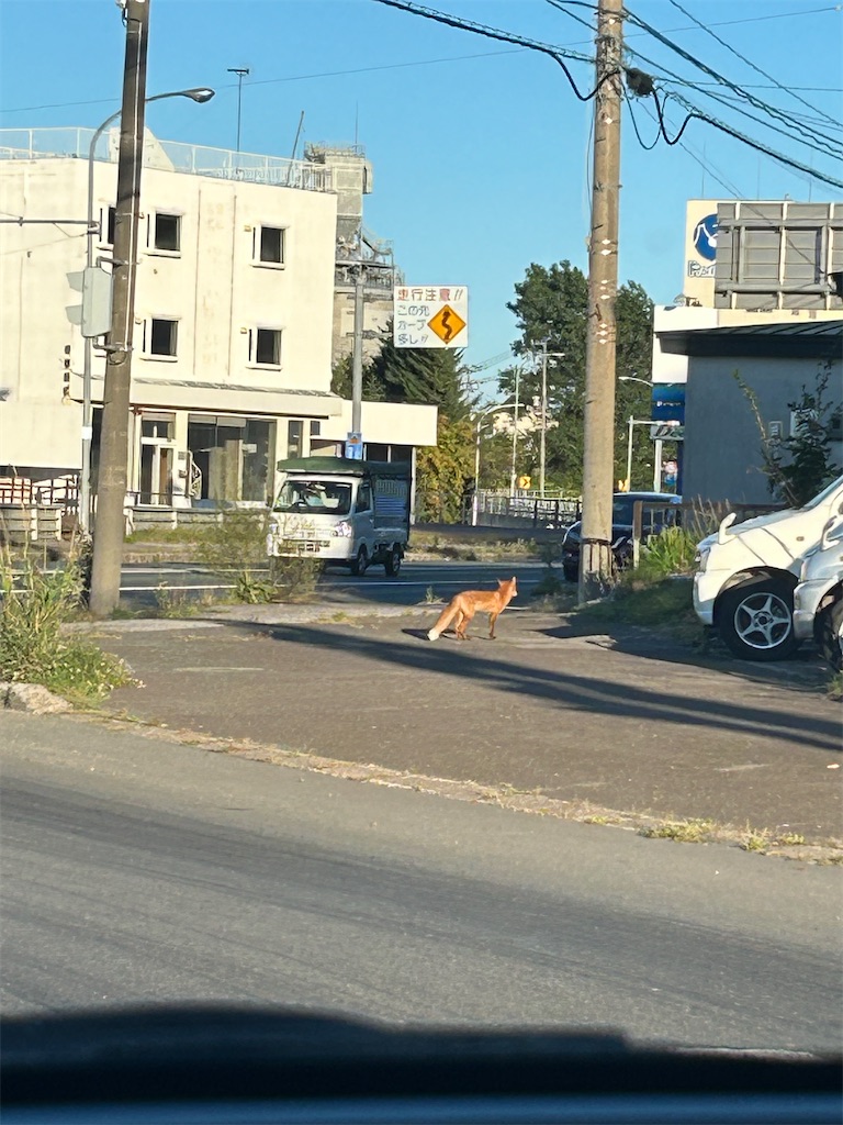 f:id:chizukichizuki:20240908003227j:image