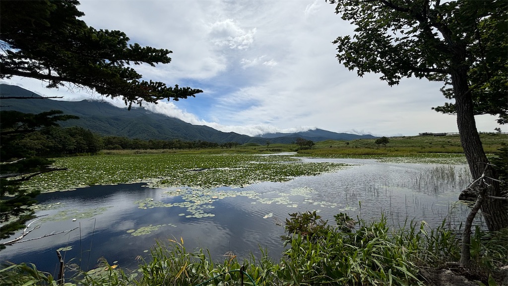 f:id:chizukichizuki:20240908003729j:image