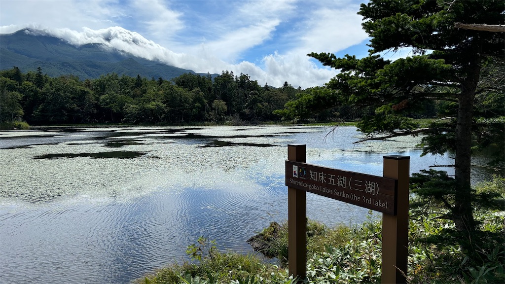 f:id:chizukichizuki:20240908003807j:image