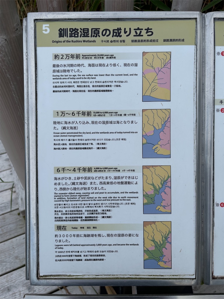f:id:chizukichizuki:20240908012255j:image