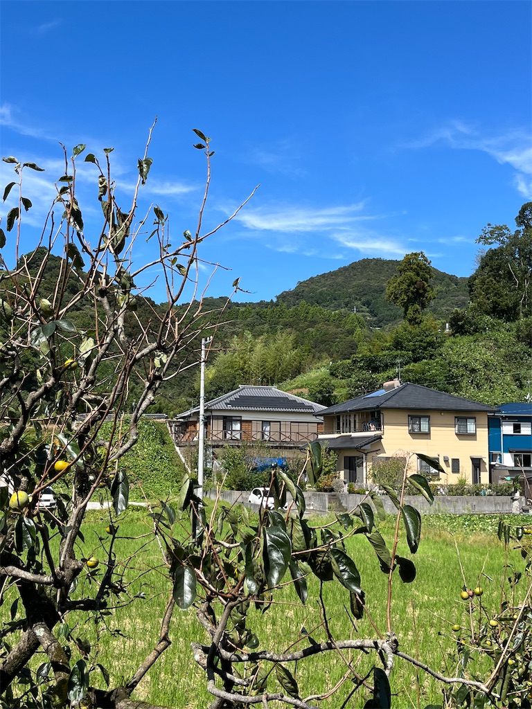 f:id:chizukoike:20220921164545j:image f:id:chizukoike:20220921164545j:image