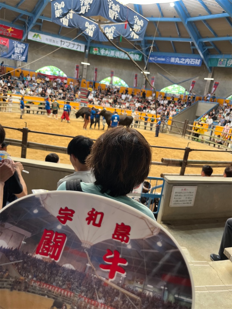 f:id:chizukoike:20250802153501j:image f:id:chizukoike:20250802153501j:image