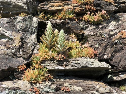 f:id:chizuru2018:20180923221152j:plain