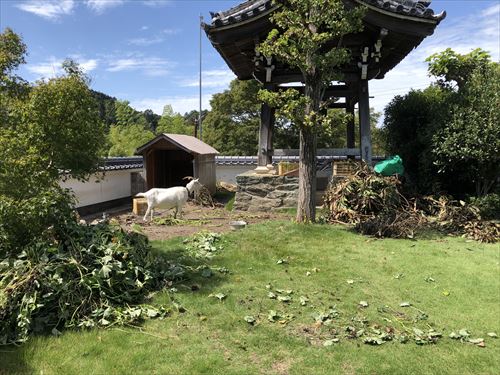 f:id:chizuru2018:20180923221250j:plain