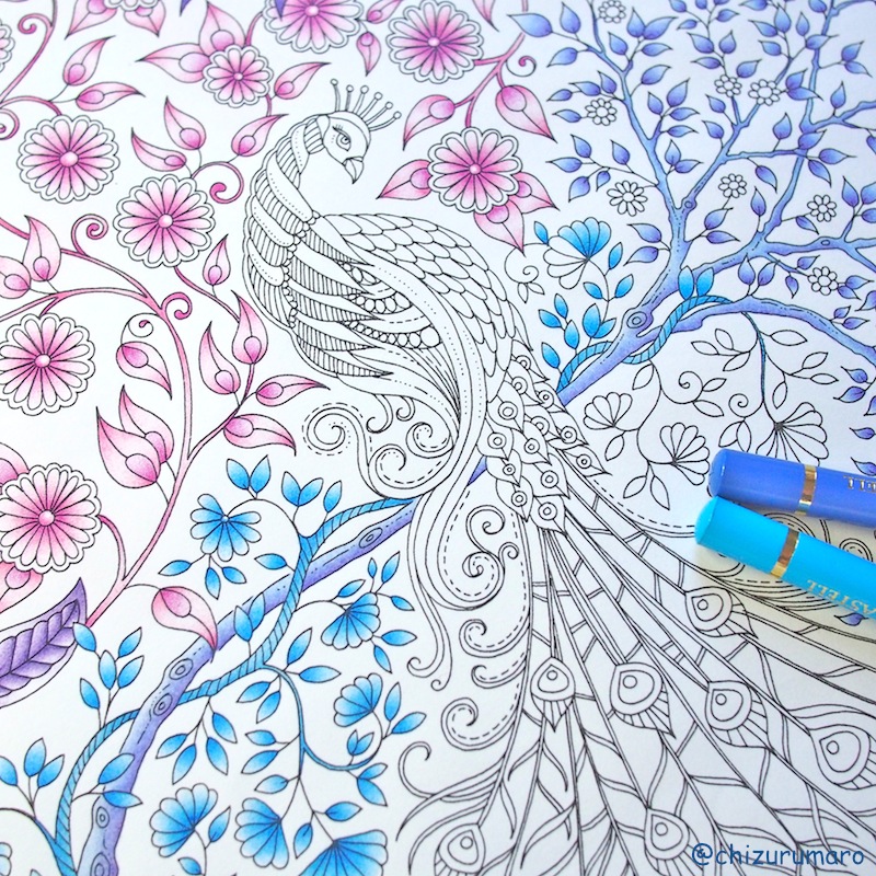 コロリアージュ切り絵 あの有名な塗り絵本 ひみつの花園 のクジャクを切り抜いてみた ちづるのもっと ぬりえライフ コロリアージュ切り絵 あの有名な塗り絵本 ひみつの花園 のクジャクを切り抜いてみた ちづるのもっと ぬりえライフ