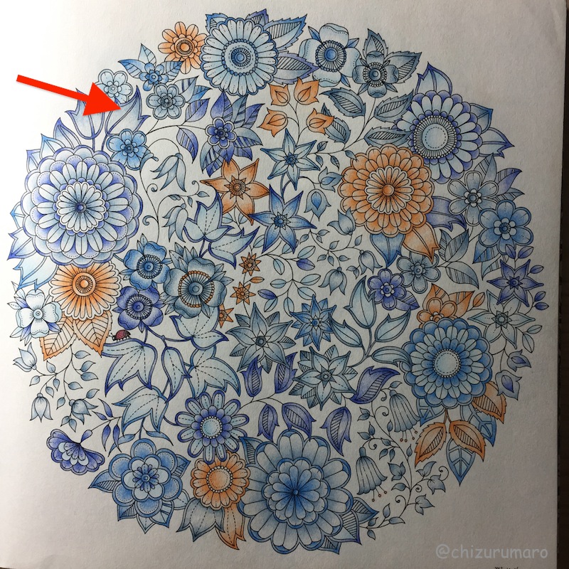 撮影編 塗り絵を写真に撮るときに工夫していること ちづるのもっと ぬりえライフ