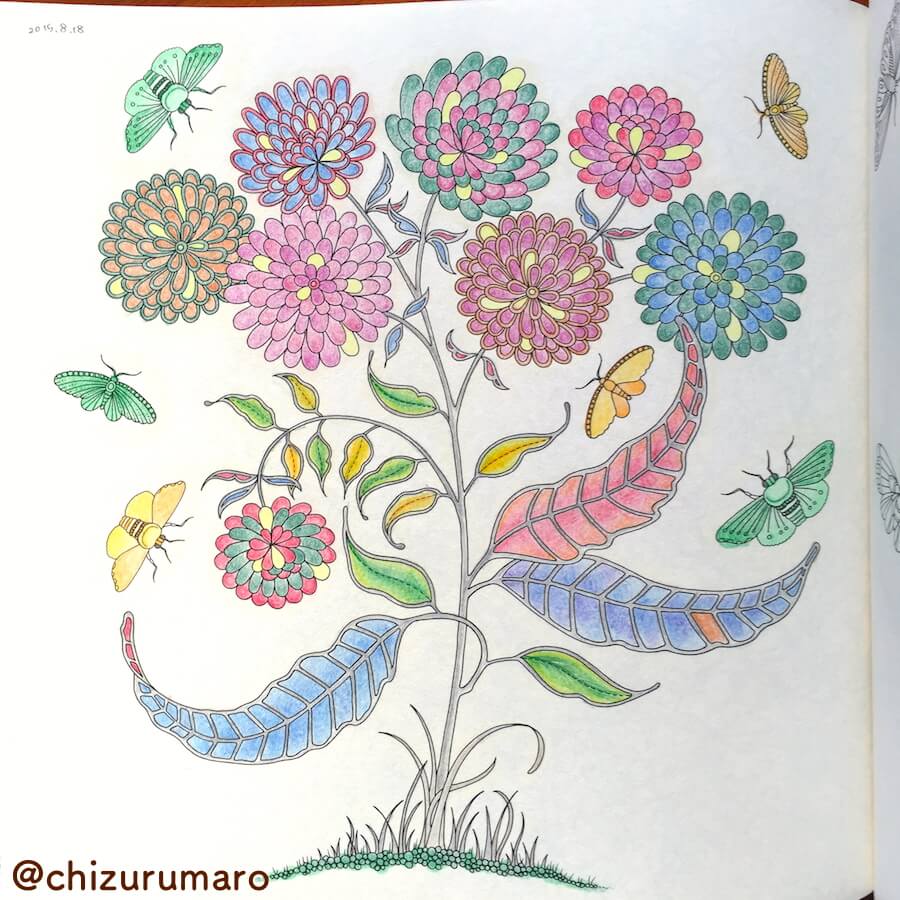 f:id:chizurumaro:20170530161944j:plain