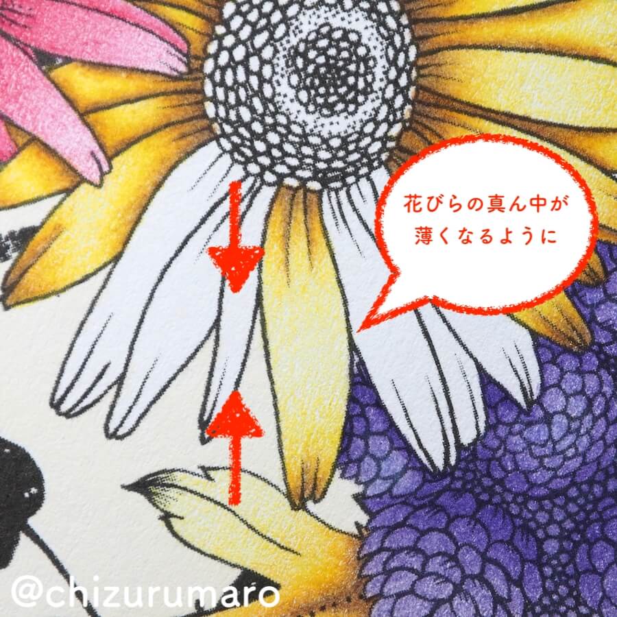 f:id:chizurumaro:20180619115434j:plain f:id:chizurumaro:20180619115434j:plain