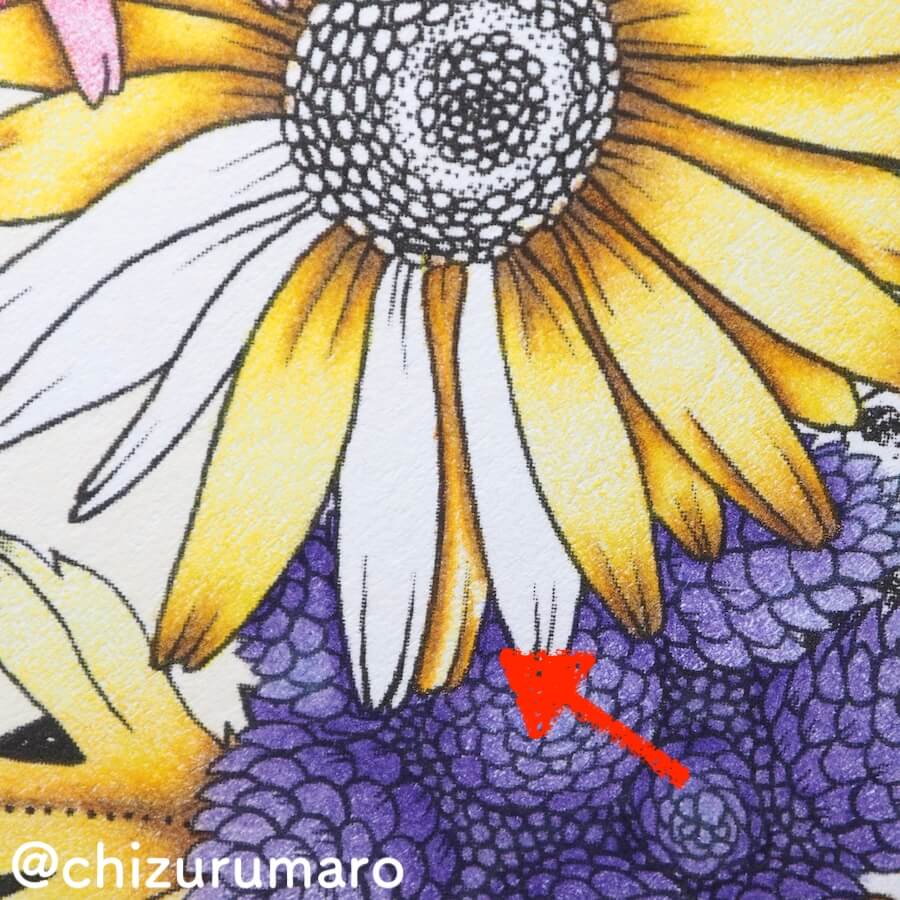 f:id:chizurumaro:20180619115924j:plain f:id:chizurumaro:20180619115924j:plain