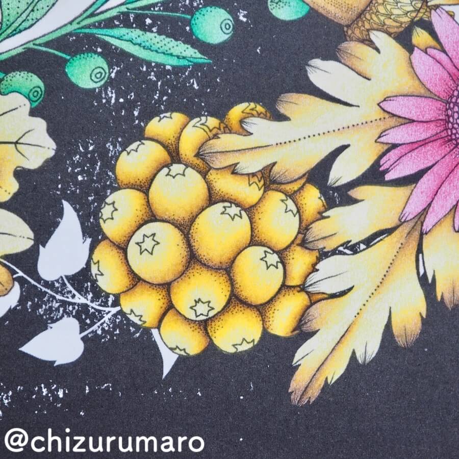 f:id:chizurumaro:20180619150917j:plain f:id:chizurumaro:20180619150917j:plain
