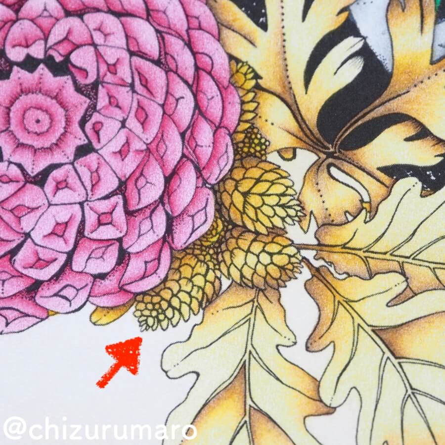 f:id:chizurumaro:20180619150955j:plain f:id:chizurumaro:20180619150955j:plain