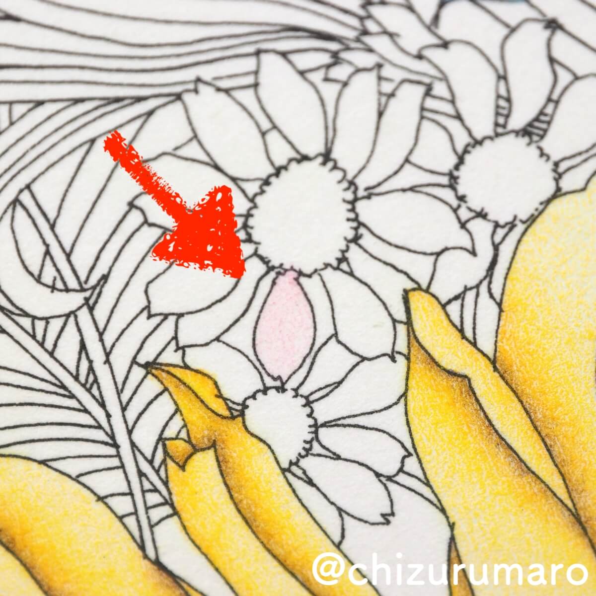 f:id:chizurumaro:20190427134852j:plain f:id:chizurumaro:20190427134852j:plain