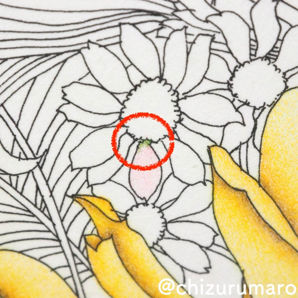 f:id:chizurumaro:20190427135229j:plain f:id:chizurumaro:20190427135229j:plain