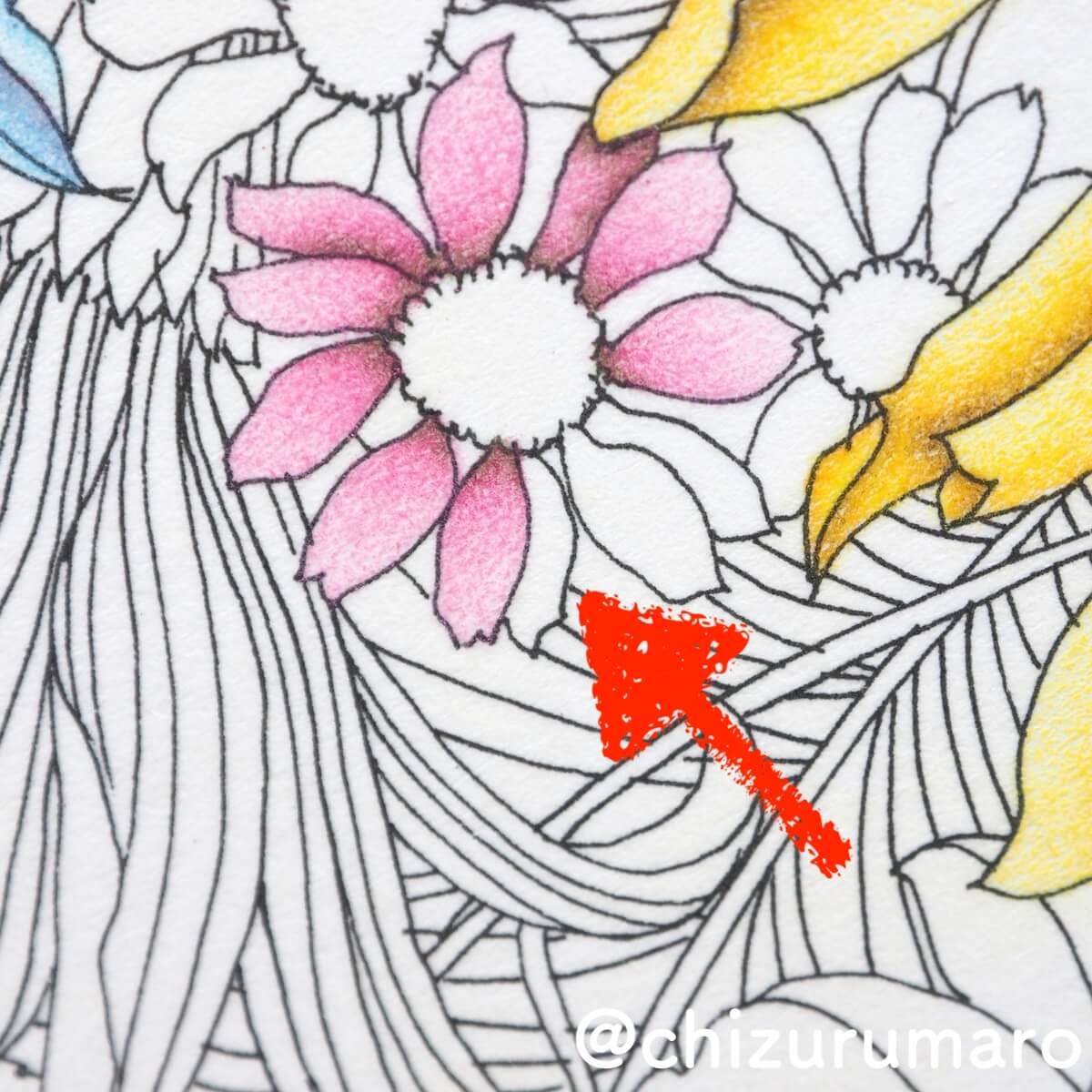 ピンク色編 補色で影を作ってお花を塗ってみた レイラ デュリーさん Floribunda ちづるのもっと ぬりえライフ ピンク色編 補色で影を作ってお花を塗ってみた レイラ デュリーさん Floribunda ちづるのもっと ぬりえライフ