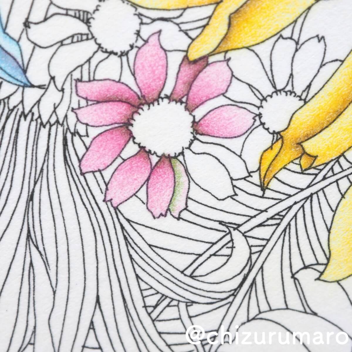 ピンク色編 補色で影を作ってお花を塗ってみた レイラ デュリーさん Floribunda ちづるのもっと ぬりえライフ ピンク色編 補色で影を作ってお花を塗ってみた レイラ デュリーさん Floribunda ちづるのもっと ぬりえライフ