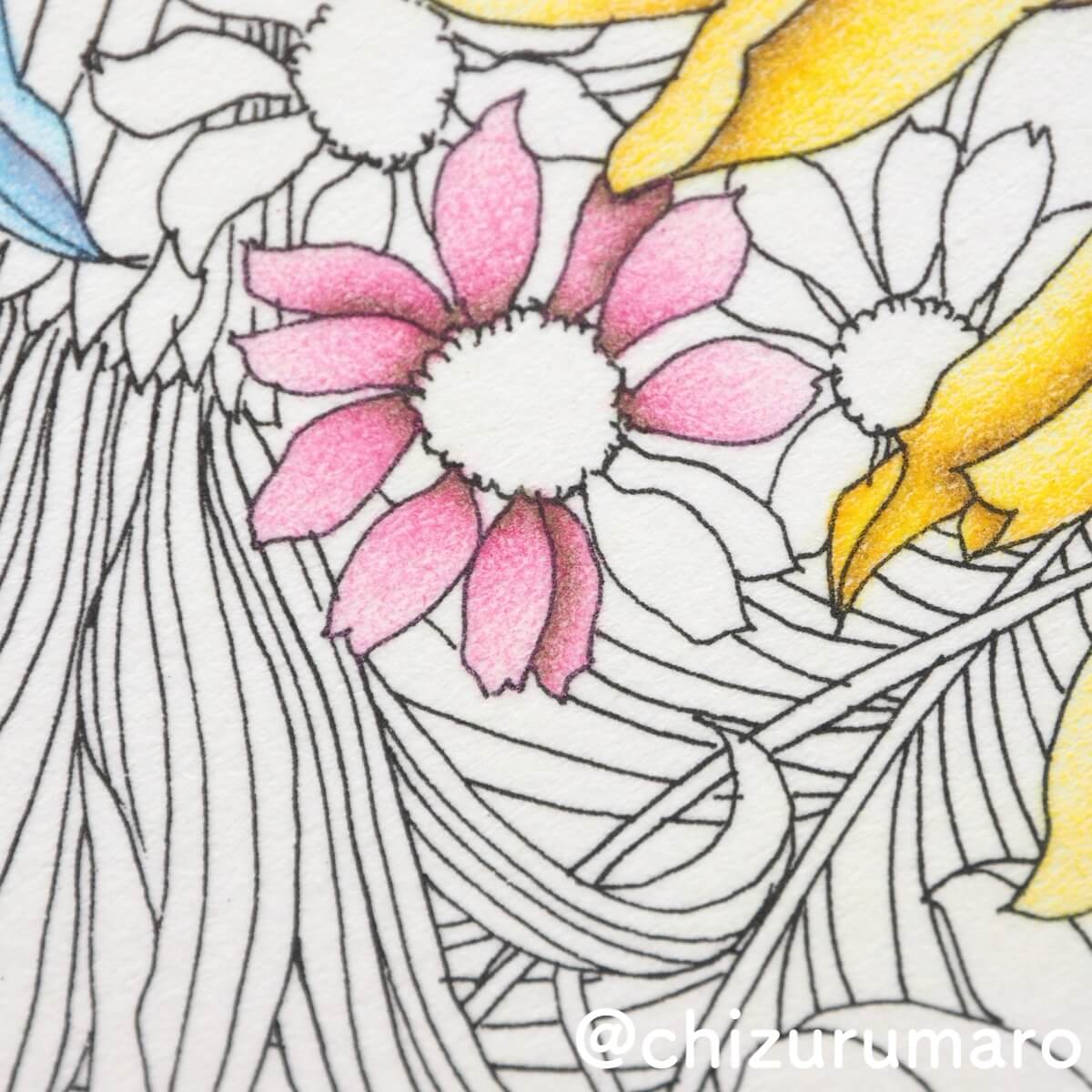 ピンク色編 補色で影を作ってお花を塗ってみた レイラ デュリーさん Floribunda ちづるのもっと ぬりえライフ ピンク色編 補色で影を作ってお花を塗ってみた レイラ デュリーさん Floribunda ちづるのもっと ぬりえライフ